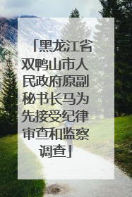 黑龙江省双鸭山市人民政府原副秘书长马为先接受纪律审查和监察调查