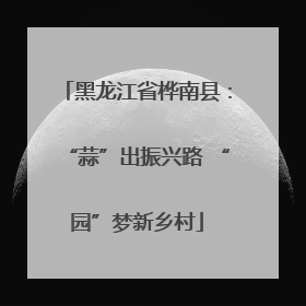 黑龙江省桦南县：“蒜”出振兴路 “园”梦新乡村
