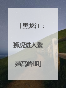 黑龙江：狮虎进入繁殖高峰期