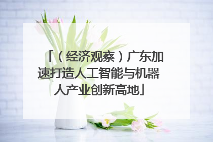 （经济观察）广东加速打造人工智能与机器人产业创新高地