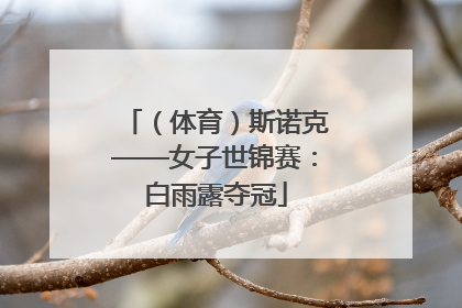 （体育）斯诺克——女子世锦赛：白雨露夺冠