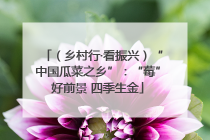 （乡村行·看振兴）“中国瓜菜之乡”：“莓”好前景 四季生金