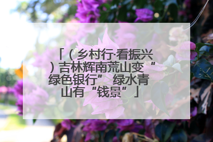 （乡村行·看振兴）吉林辉南荒山变“绿色银行” 绿水青山有“钱景”