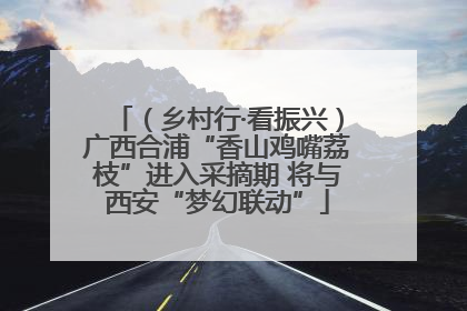 （乡村行·看振兴）广西合浦“香山鸡嘴荔枝”进入采摘期 将与西安“梦幻联动”