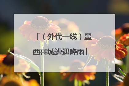 （外代一线）墨西哥城遭遇降雨