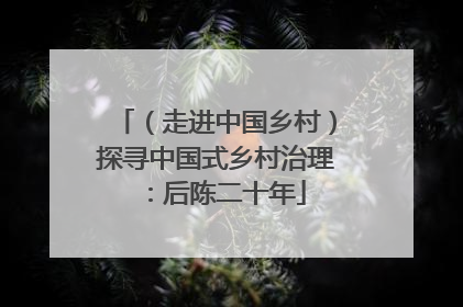 （走进中国乡村）探寻中国式乡村治理：后陈二十年