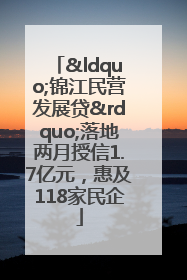 “锦江民营发展贷”落地两月授信1.7亿元，惠及118家民企