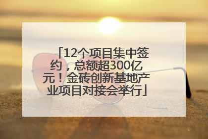 12个项目集中签约，总额超300亿元！金砖创新基地产业项目对接会举行