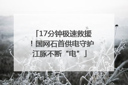 17分钟极速救援！国网石首供电守护江豚不断“电”