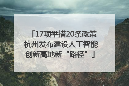 17项举措20条政策 杭州发布建设人工智能创新高地新“路径”