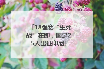 18强赛“生死战”在即，国足25人出征印尼