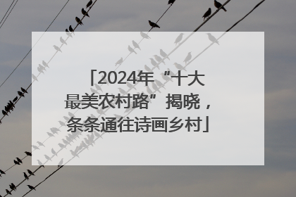 2024年“十大最美农村路”揭晓，条条通往诗画乡村