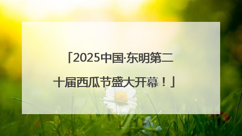 2025中国·东明第二十届西瓜节盛大开幕！