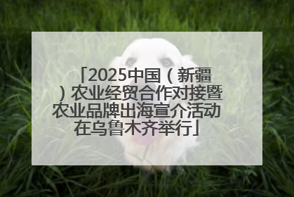 2025中国（新疆）农业经贸合作对接暨农业品牌出海宣介活动在乌鲁木齐举行
