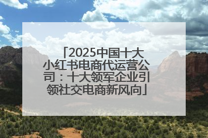 2025中国十大小红书电商代运营公司：十大领军企业引领社交电商新风向