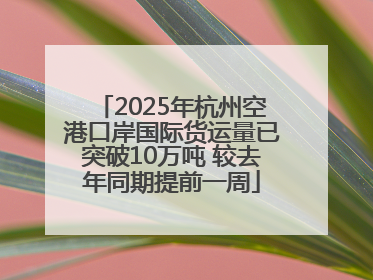 2025年杭州空港口岸国际货运量已突破10万吨 较去年同期提前一周