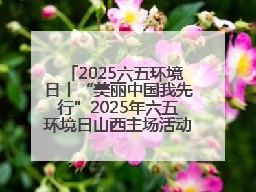 2025六五环境日丨“美丽中国我先行”2025年六五环境日山西主场活动在大同启动 多元形式绘就生态画卷