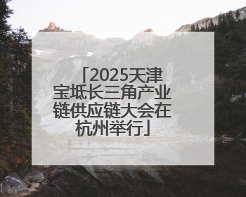 2025天津宝坻长三角产业链供应链大会在杭州举行