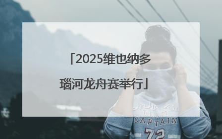 2025维也纳多瑙河龙舟赛举行