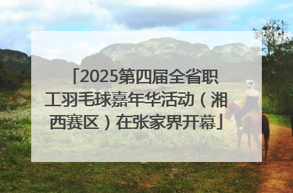 2025第四届全省职工羽毛球嘉年华活动（湘西赛区）在张家界开幕