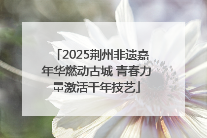 2025荆州非遗嘉年华燃动古城 青春力量激活千年技艺