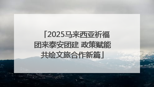 2025马来西亚祈福团来泰安团建 政策赋能共绘文旅合作新篇