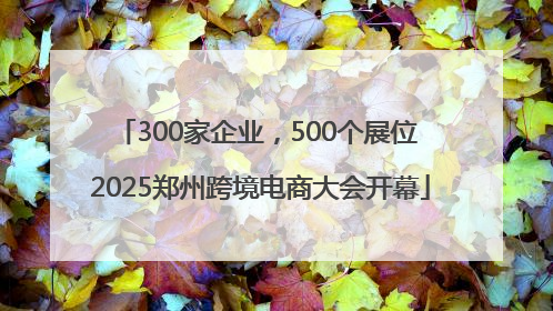 300家企业，500个展位 2025郑州跨境电商大会开幕