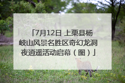 7月12日 上栗县杨岐山风景名胜区奇幻龙洞夜逍遥活动启幕（图）