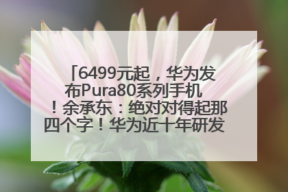 6499元起，华为发布Pura80系列手机！余承东：绝对对得起那四个字！华为近十年研发投入12490亿元