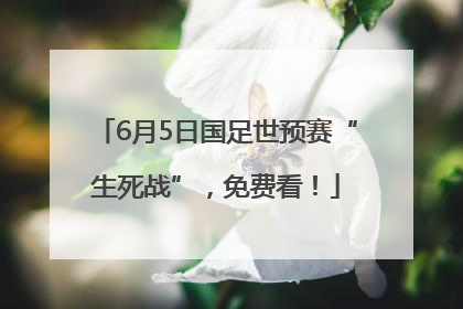 6月5日国足世预赛“生死战”，免费看！