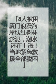8人被困厦门浪漫海岸线红树林淤泥，潮水还在上涨！当地紧急救援全部脱困
