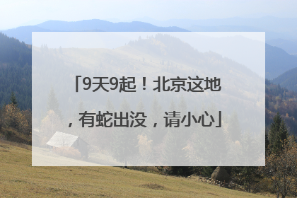 9天9起！北京这地，有蛇出没，请小心