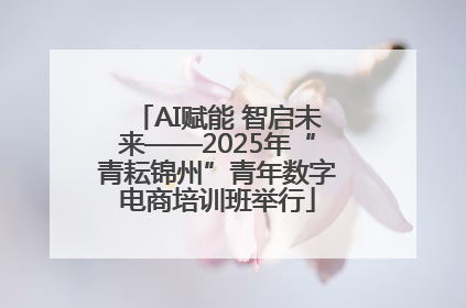 AI赋能 智启未来——2025年“青耘锦州”青年数字电商培训班举行