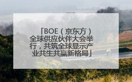 BOE（京东方）全球供应伙伴大会举行，共筑全球显示产业共生共赢新格局