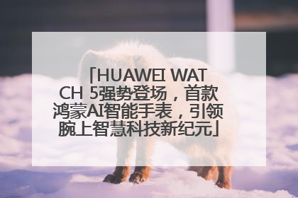 HUAWEI WATCH 5强势登场，首款鸿蒙AI智能手表，引领腕上智慧科技新纪元