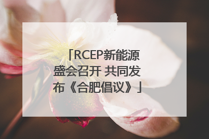 RCEP新能源盛会召开 共同发布《合肥倡议》