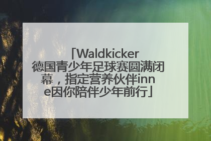 Waldkicker德国青少年足球赛圆满闭幕，指定营养伙伴inne因你陪伴少年前行