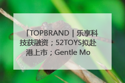 TOPBRAND｜乐享科技获融资；52TOYS拟赴港上市；Gentle Monster合作谷歌；Valentino传播官离职